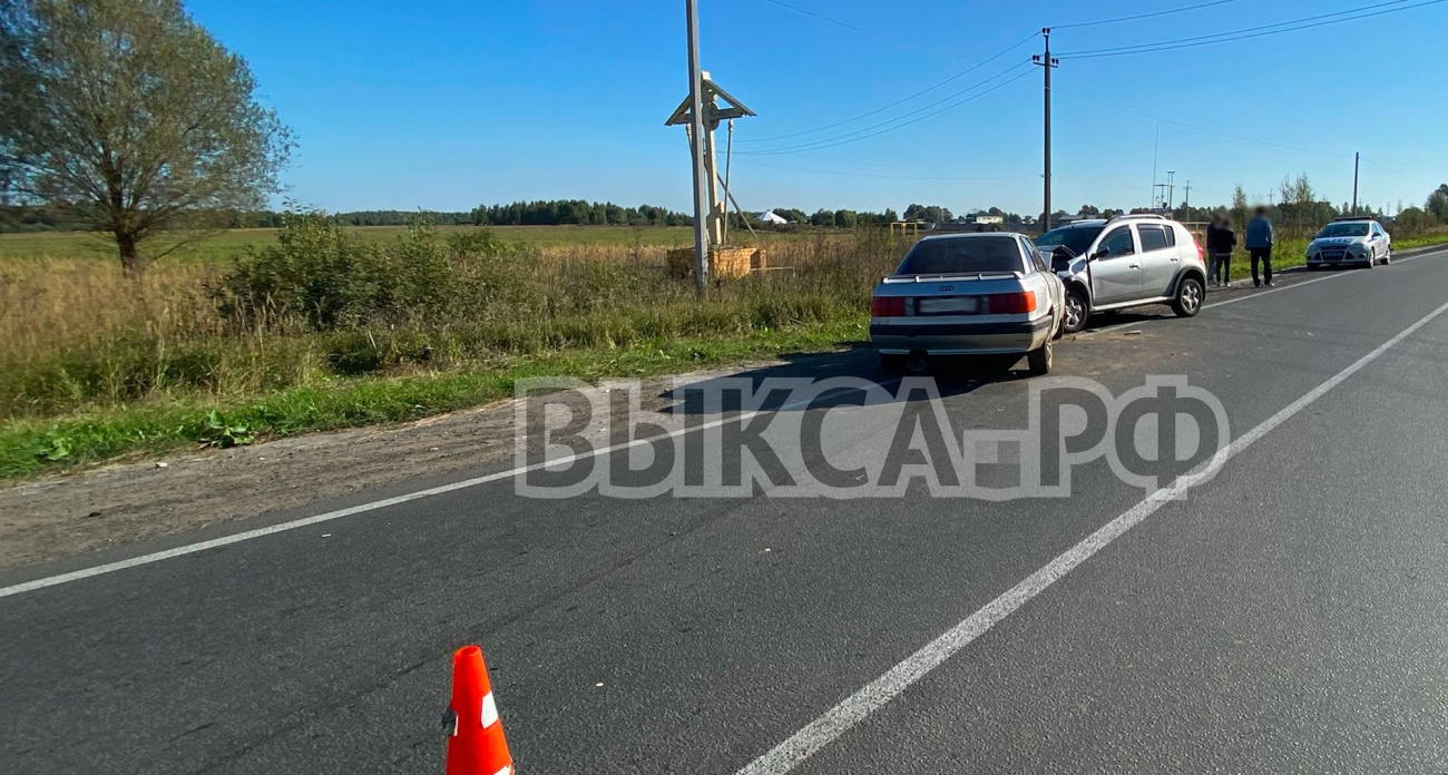 Несколько человек пострадали из-за вылетевшей на дорогу Audi в Выксунском районе
