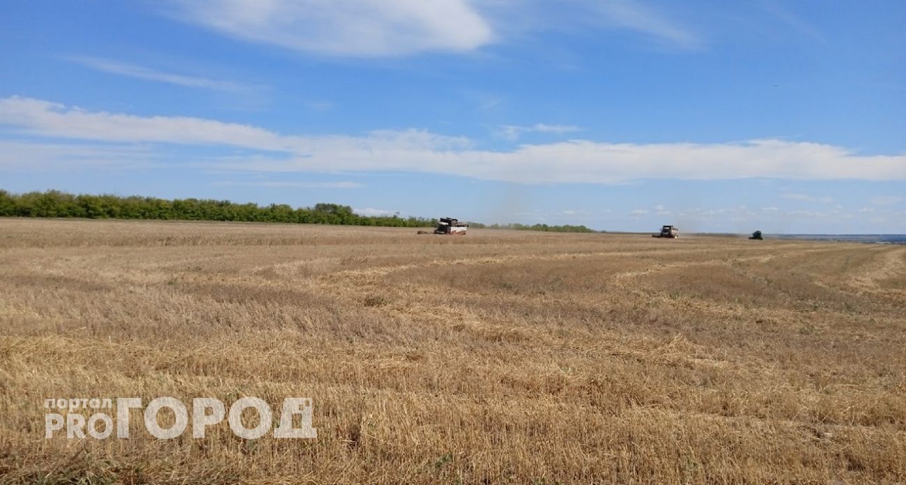 В Городецком районе во время сборки урожая загорелся комбайн
