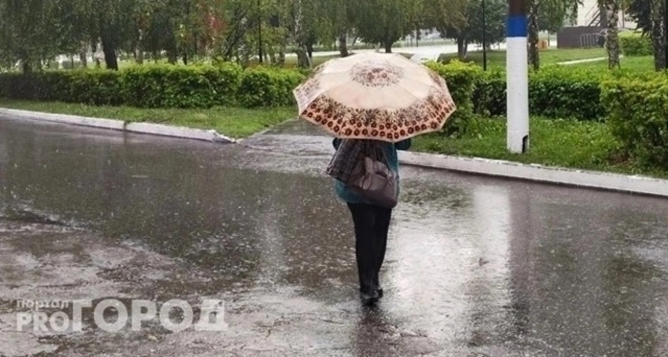 Бухгалтер из Нижнего Новгорода водила вокруг пальца начальника полгода и "заработала" больше двух миллионов