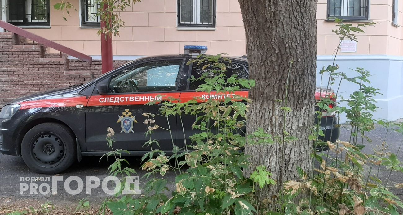 Глава СК взял на контроль ситуацию с разрушающимся мостом в Нижегородской области