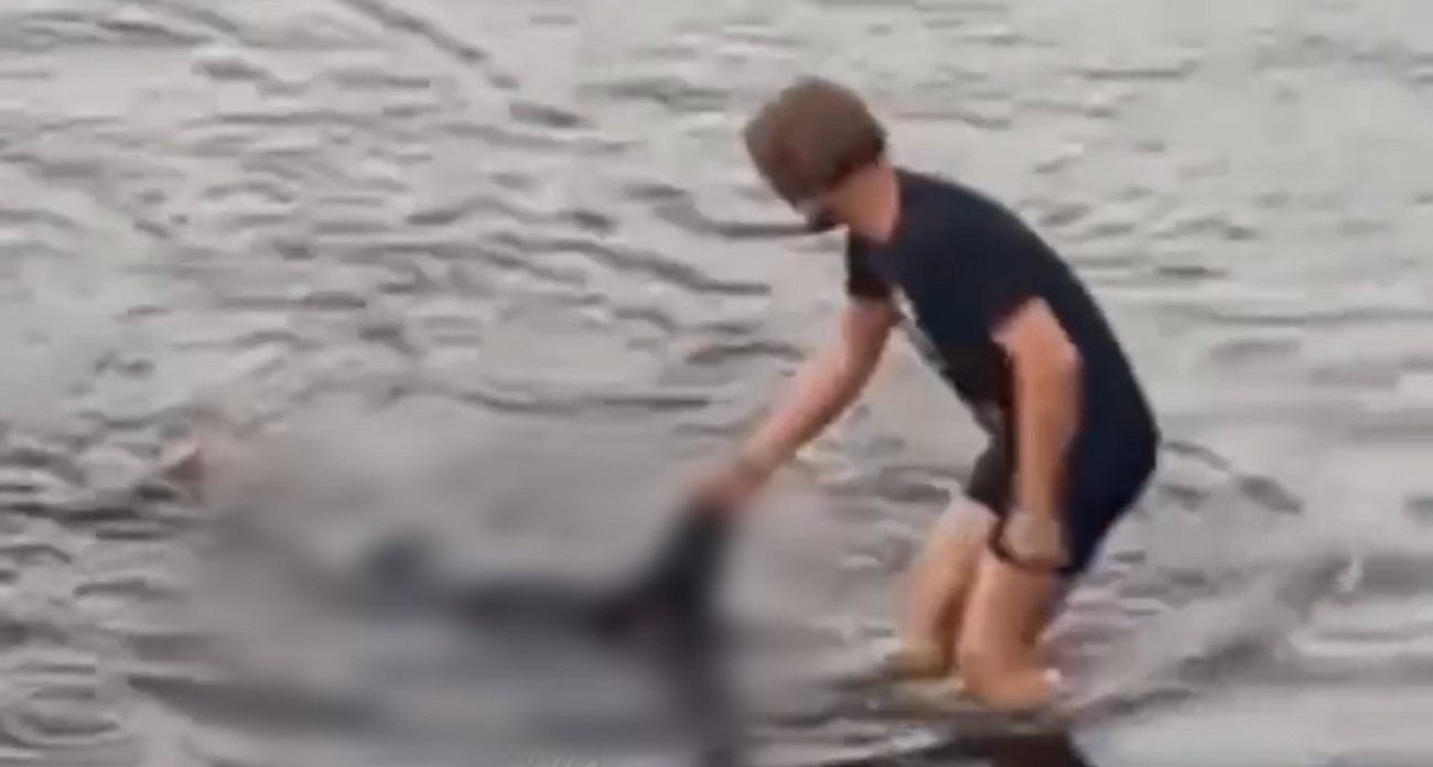 В Нижнем Новгороде у набережной нашли тело мужчины на воде