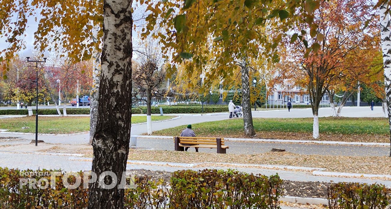 Бабье лето-2025: Вильфанд объяснил, ждать ли аномально тёплую погоду в октябре