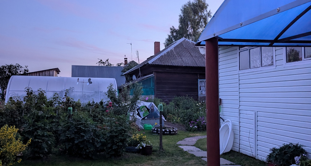 Забросьте эти луковицы в землю до зимы - весной получите цветущий сад без хлопот: список ярких многолетников