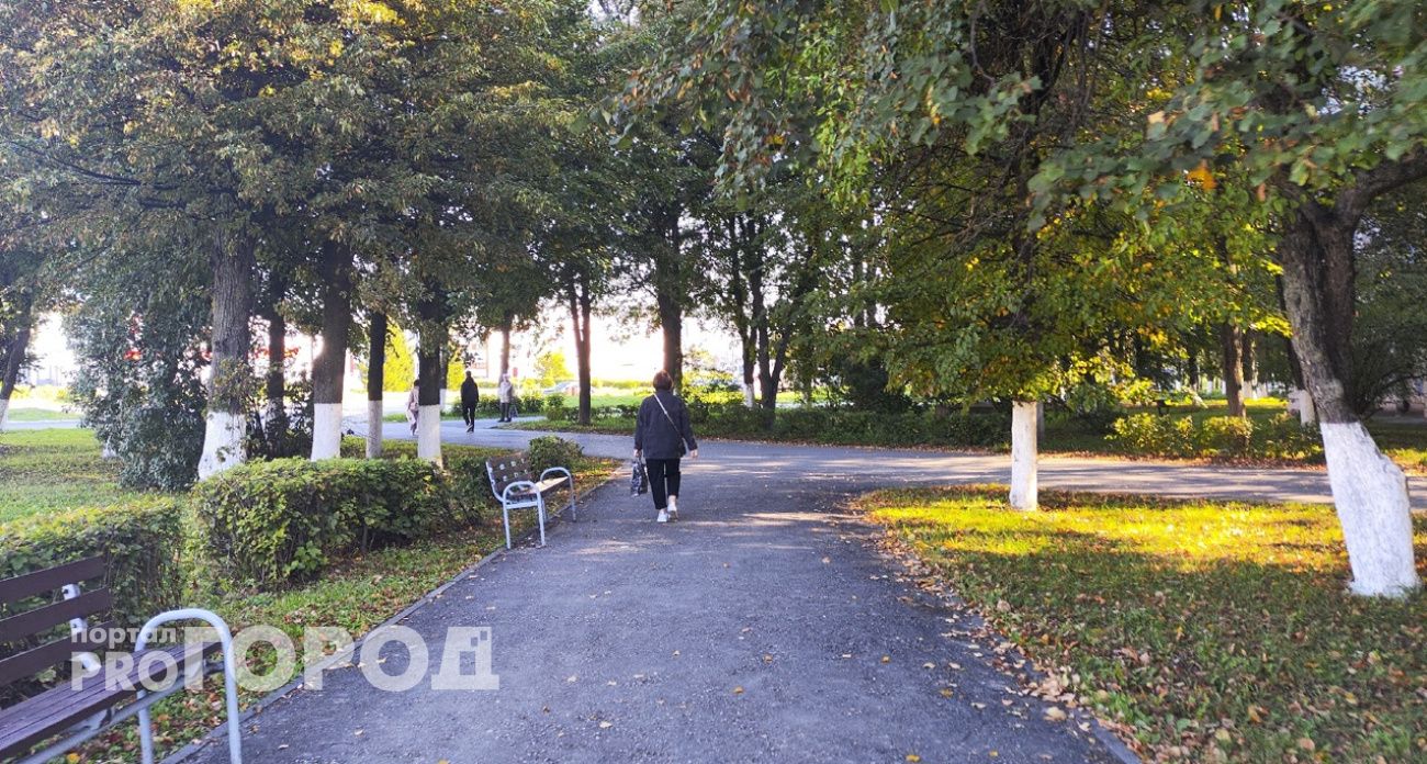 Акция на занятия танцами и реклама магазина привела двух жительниц Балахны в полицию