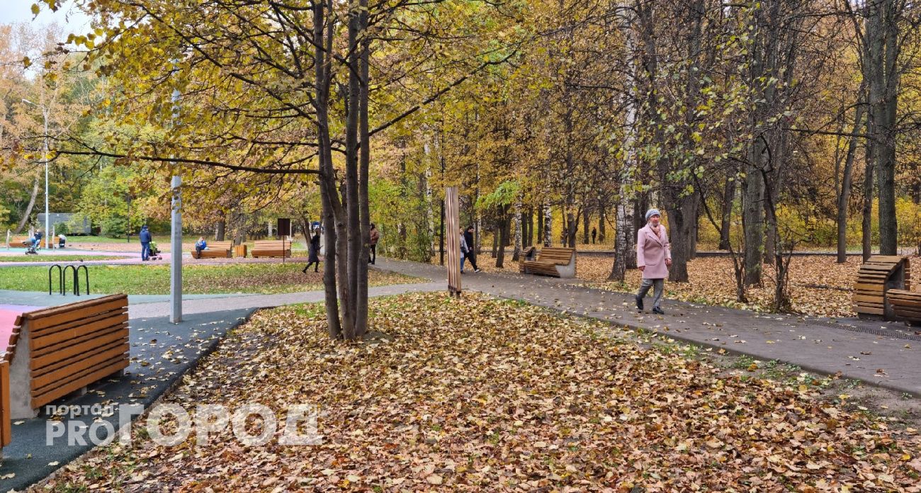 Нижегородцам ответили куда обращаться, если в их дворе не убирают листья