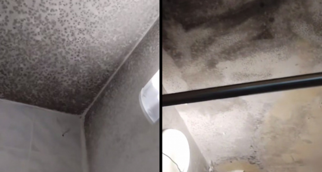 Студенты нижегородского вуза обратились за помощью к Мизулиной, испугавшись заплесневевшего потолка