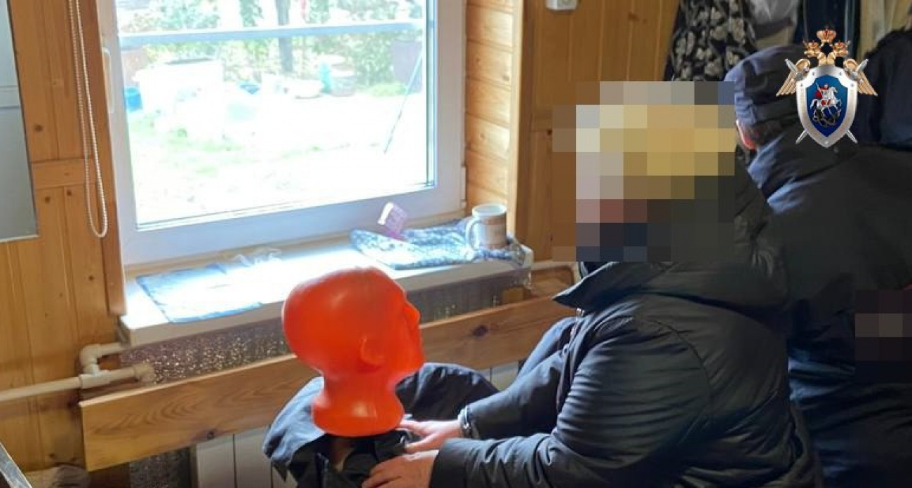 В городе Бор выясняют причины гибели пенсионерки: под подозрением ее же дочь