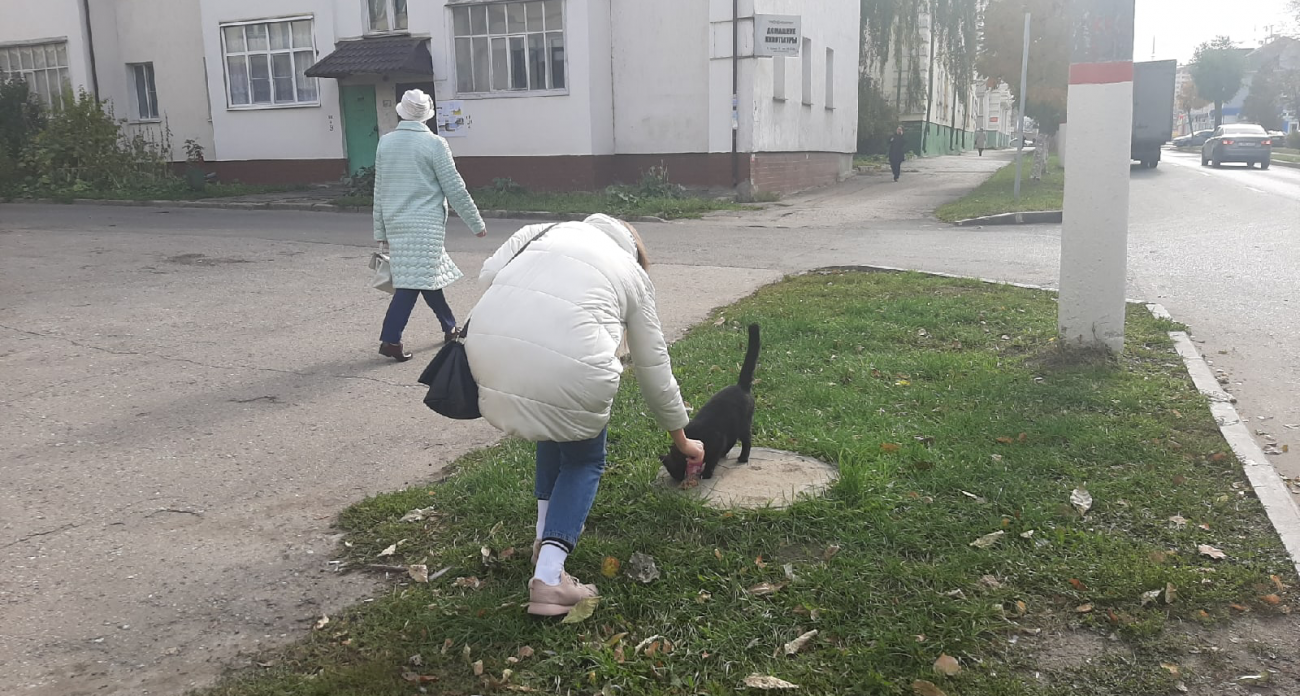 В двух районах Нижегородской области объявили карантина из-за бешенства