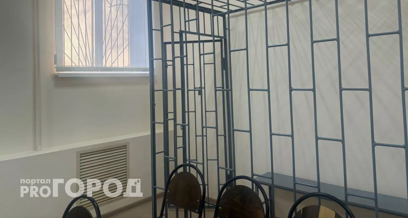 Суд снова "оживил" дело нижегородского историка-маньяка, который делал кукол из мертвых детей