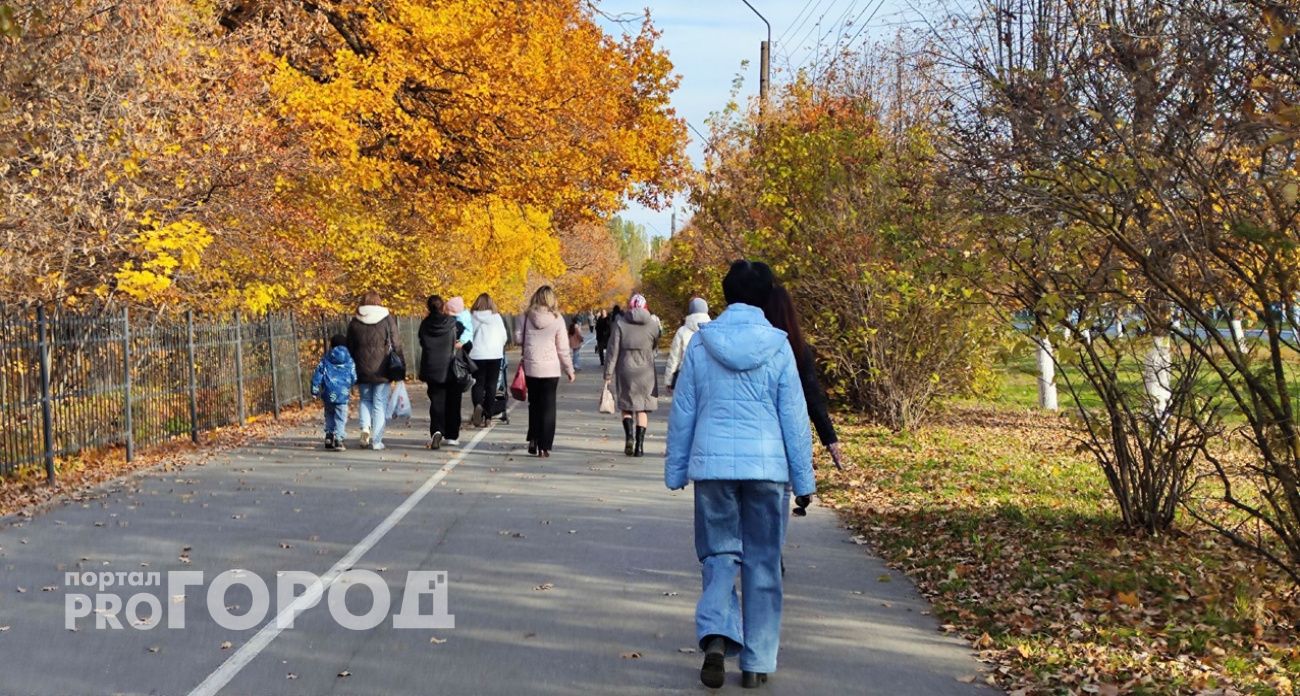 Женщина из Сарова пошла в банк оформлять кредиты, поверив сказочнику из мессенджера