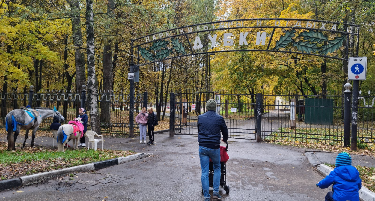 На Россию накинется пик волны арктического похолодания - чего ждать в ближайшие дни ответили синоптики