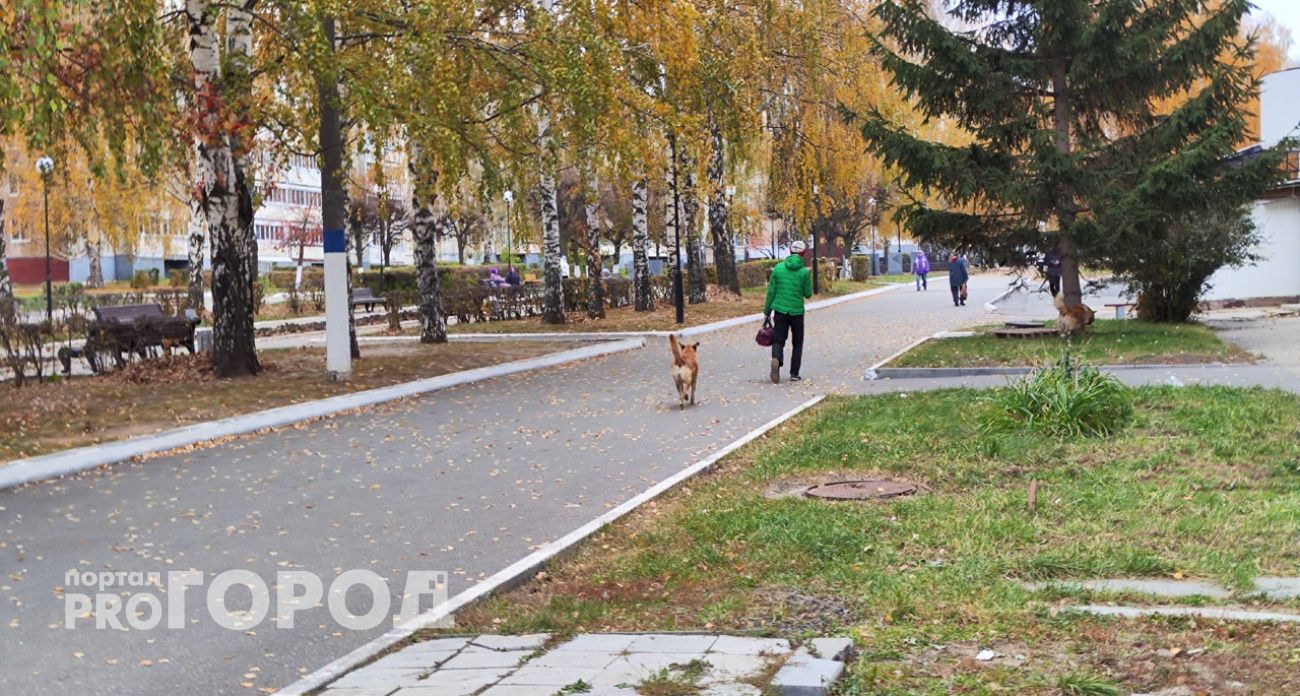 Некоторых пенсионеров Нижегородской области ждет сюрприз от Пенсионного фонда в ноябре