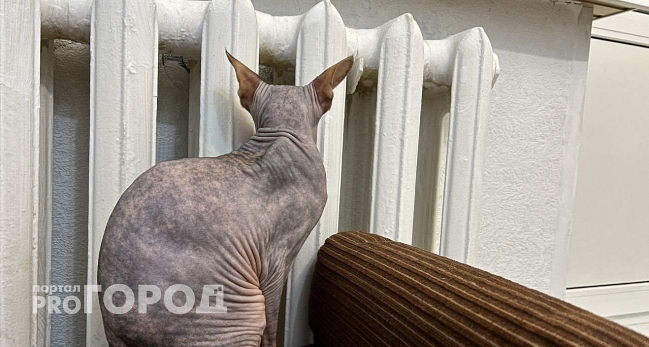 Как нижегородцам снизить расходы на отопление до 10 % и сохранить тепло дома