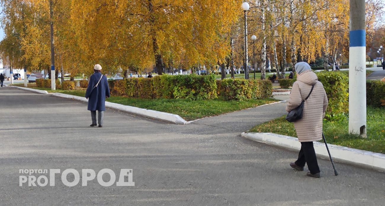 Пенсионерка из Дзержинска повезла 800 000 рублей в Москву, испугавшись обвинений в госизмене