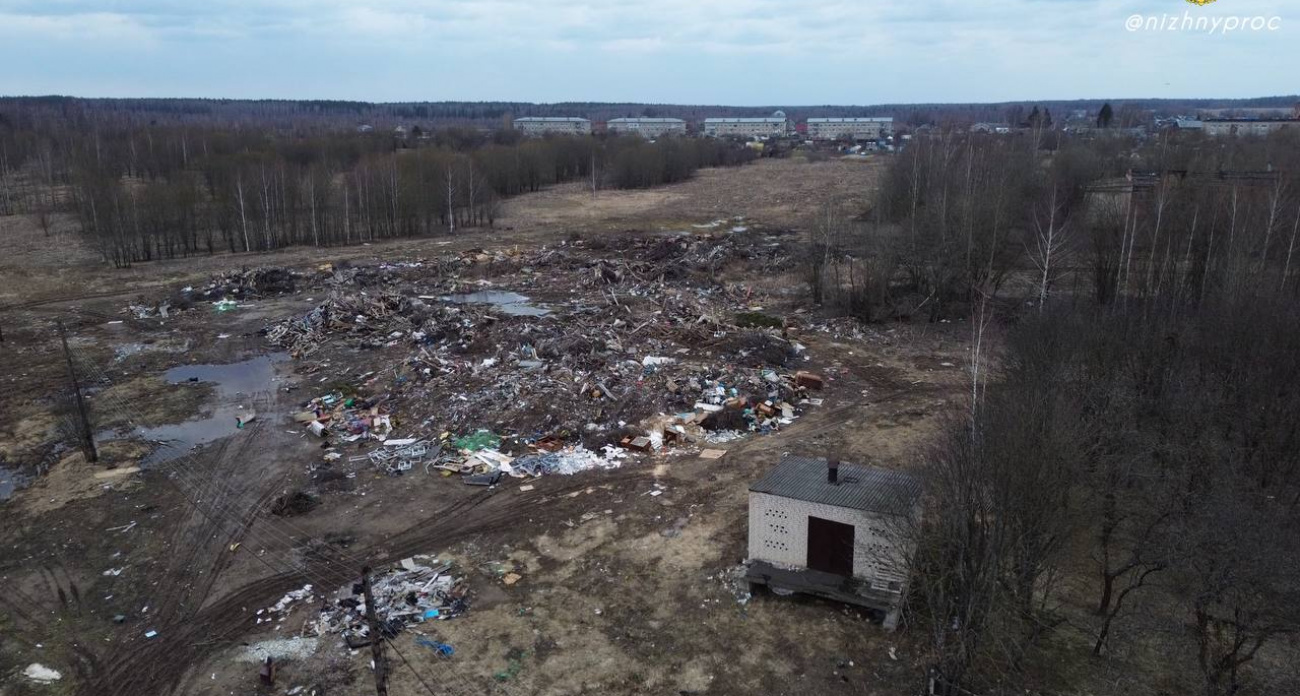 В Чкаловском районе обнаружили большую свалку в поселке, которая травила людей