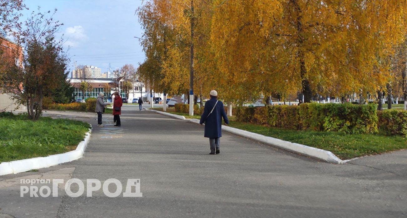 Участницу мошеннической схемы задержали в Балахне