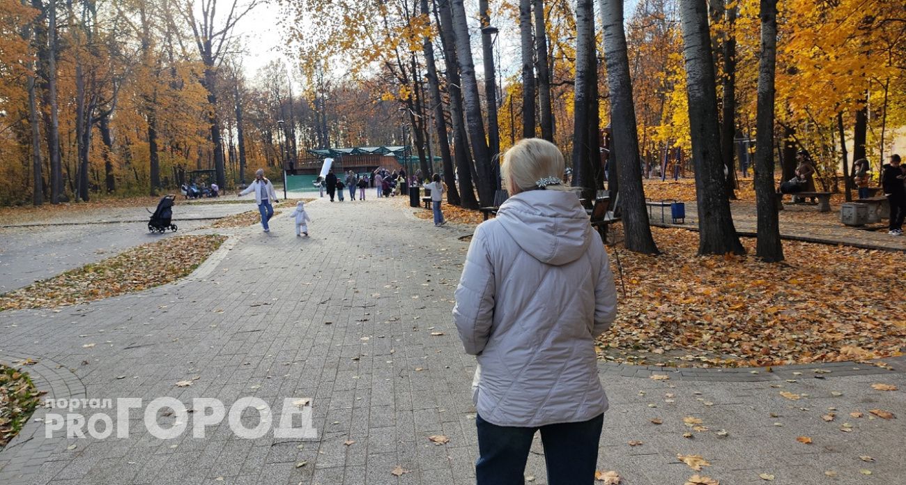 Пенсионерка из Сарова отправилась в Московскую область с деньгами, испугавшись, что их могут изъять