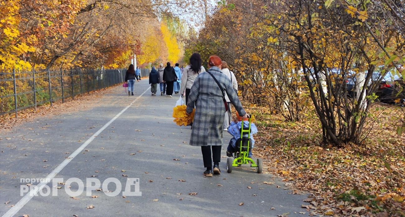В Нижегородской области будет работать "скорая помощь" против абортов