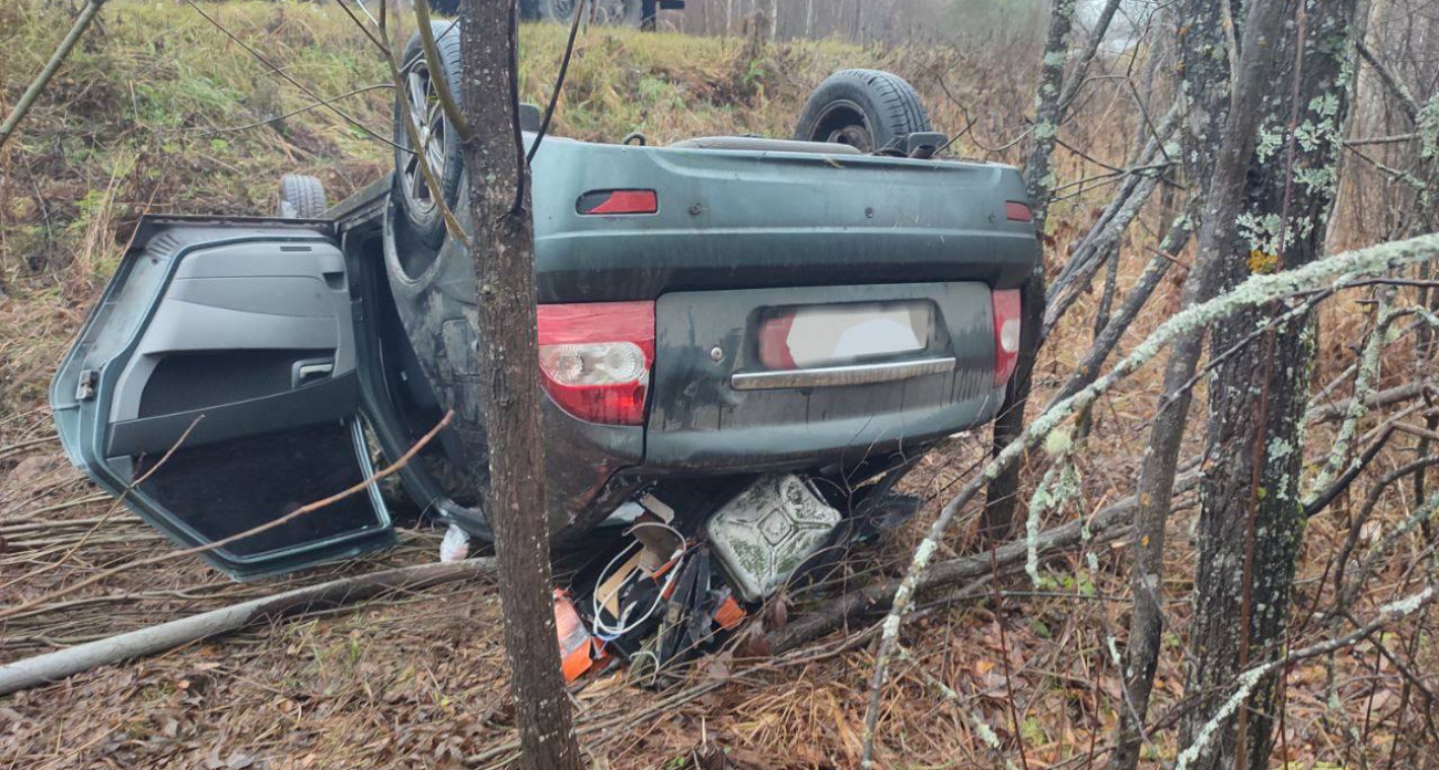 Пьяный водитель Lada погиб в кювете на трассе в Нижегородской области