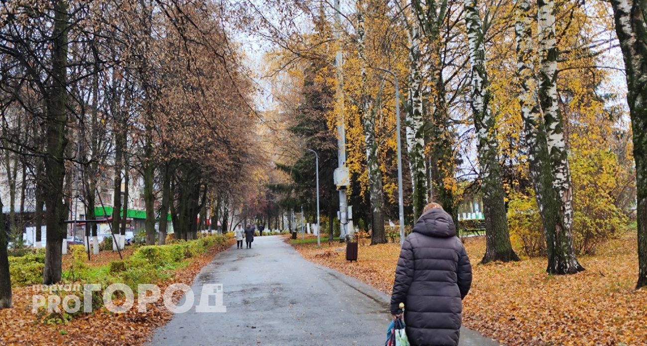 Желая быстро обогатиться, жительница Арзамаса за месяц разорилась на 4 миллиона