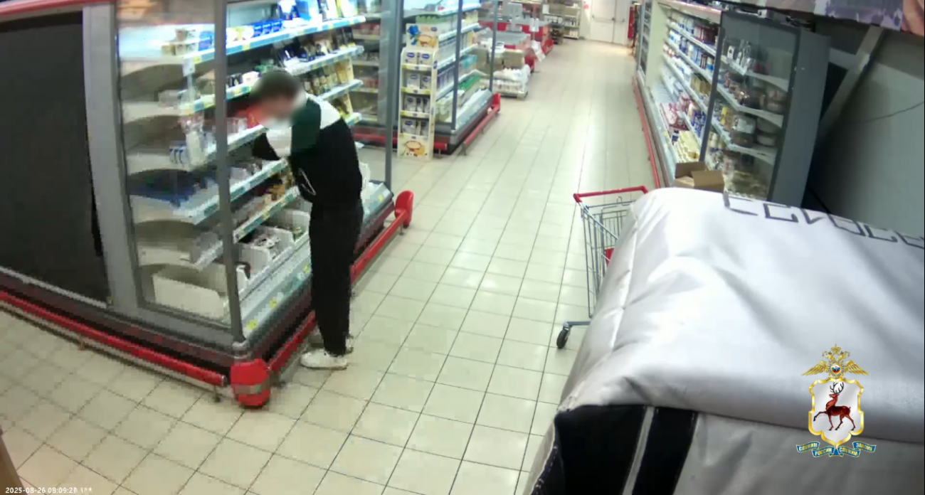 Молодой любитель сыра из Арзамаса пошел на воровство ради любимого продукта