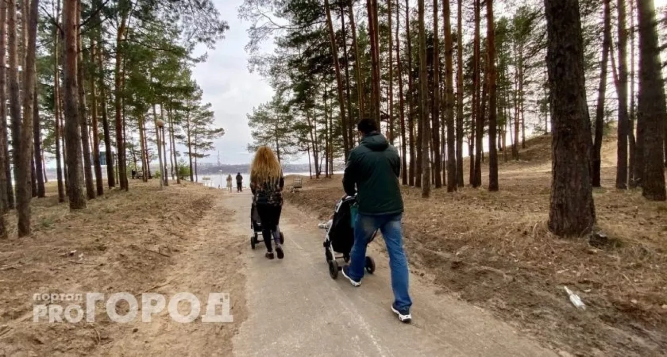 Нижний Новгород: повышенные выплаты молодым семьям и отмена наличных в транспорте - главные новости за 29 октября