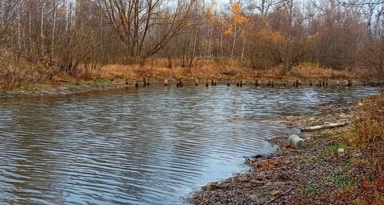 Неизмеримая глубина, старинный мост и ассоциации с детством: история одного озера в Борском районе