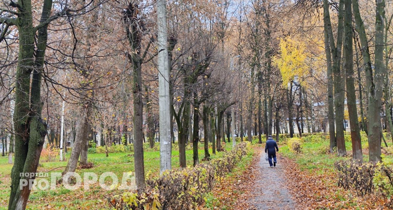 Деньги сергачского пенсионера, обманутого мошенниками, нашли в Марий Эл