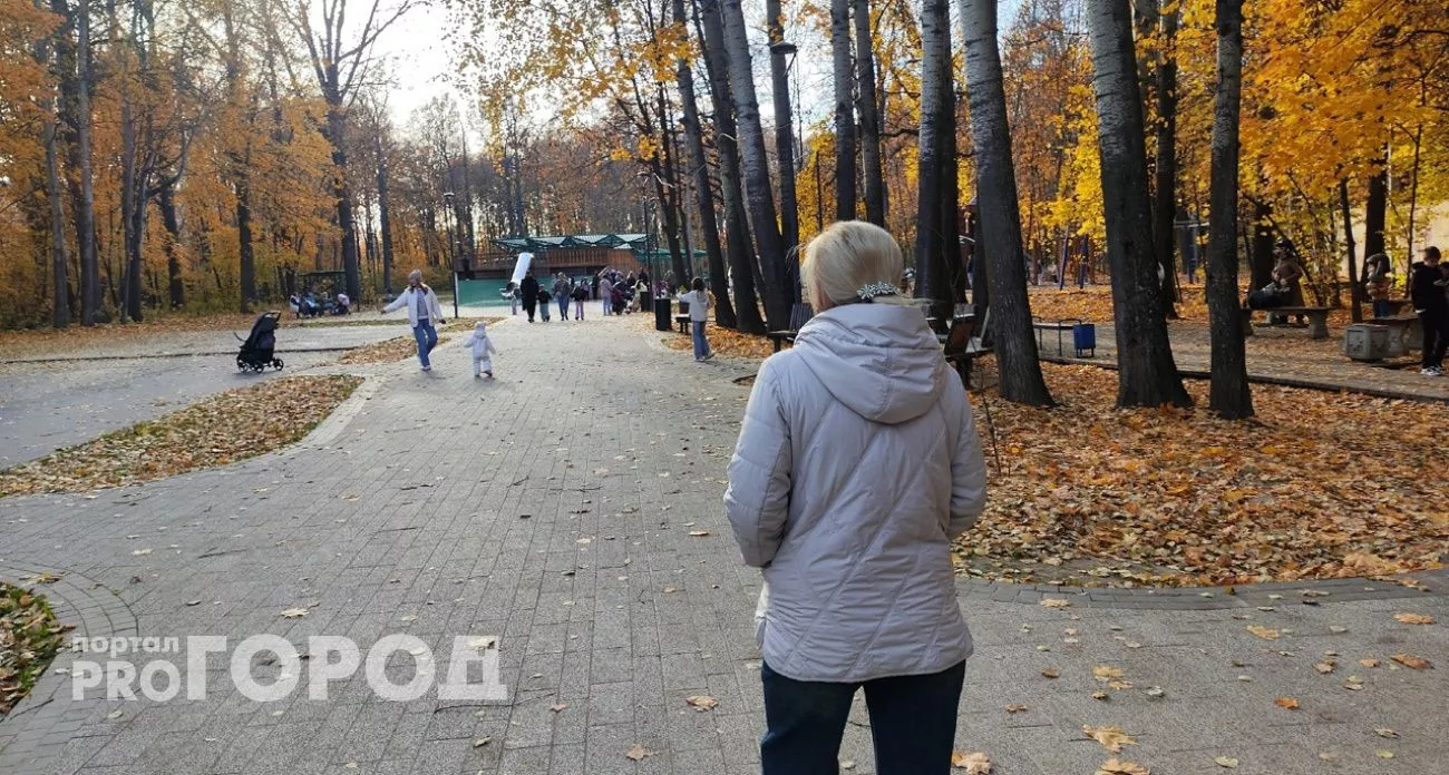 Нижегородка решила хранить миллионы в золотых слитках, но их отобрал "Пенсионный фонд"