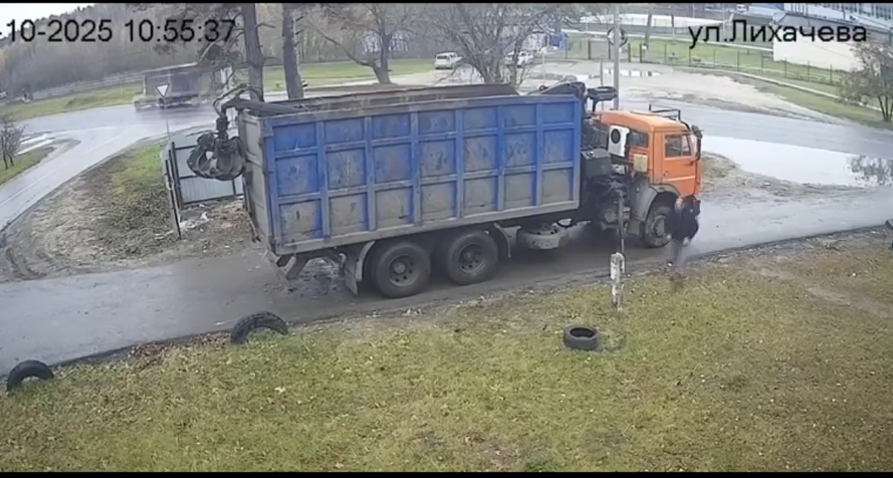 В городе Бор наказали компанию, которая бросалась ветками где попало