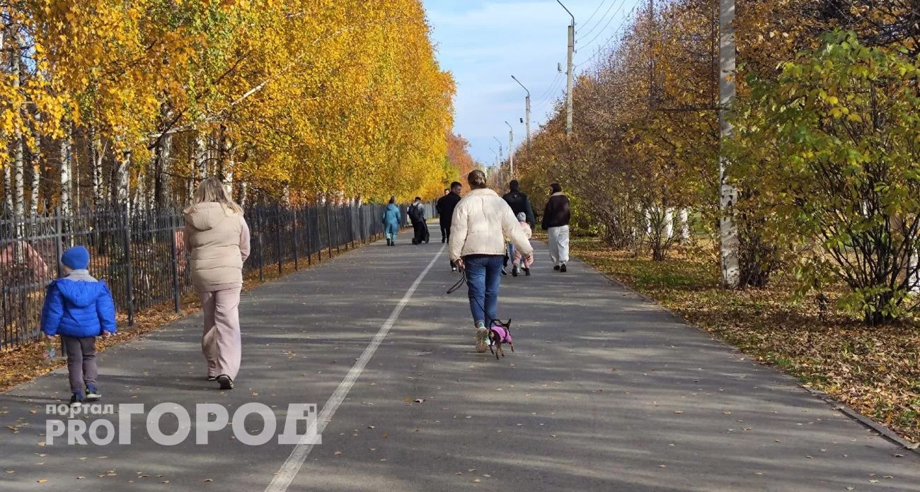 Родились с золотой ложкой во рту: Тамара Глоба назвала три знака, кому уготовано процветание с 5 ноября