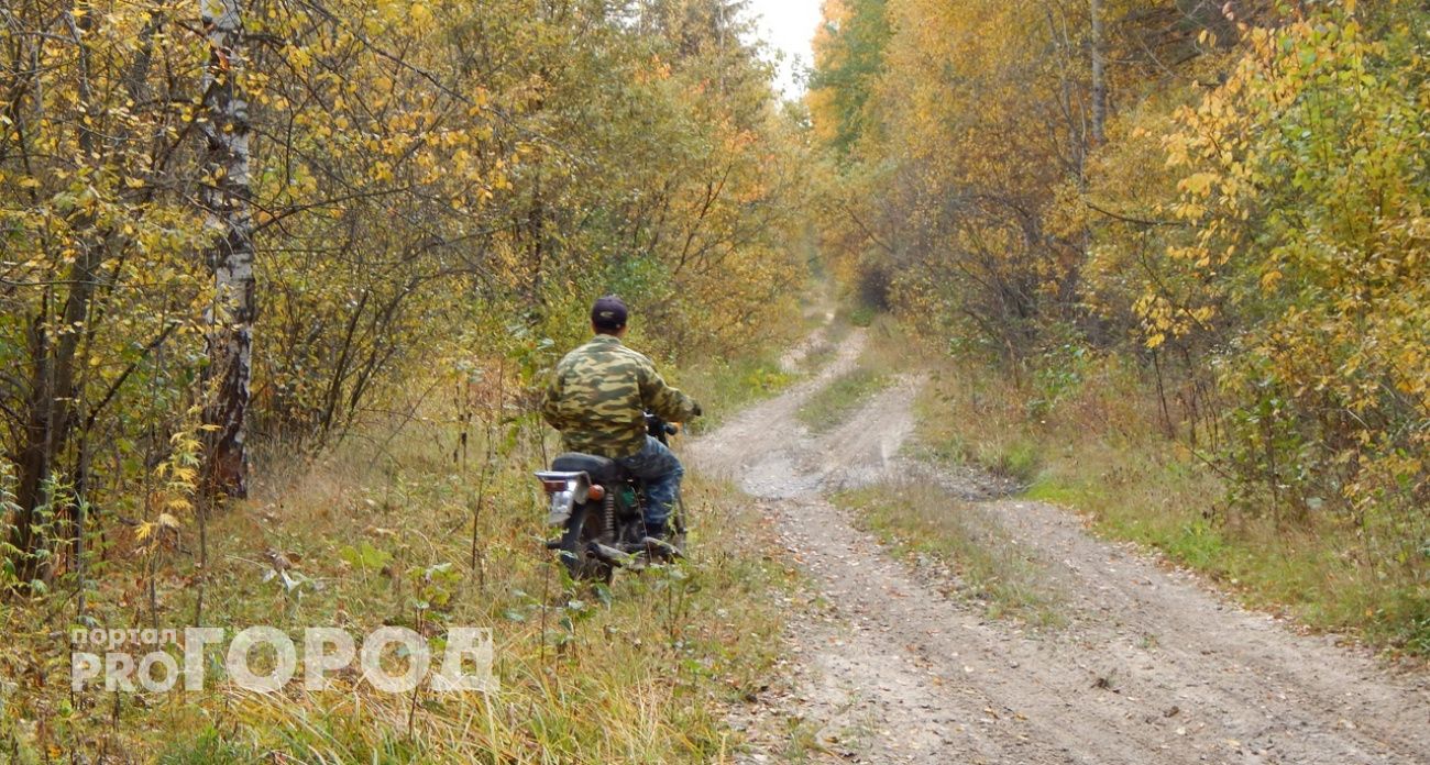 Сезон охоты на отдельные виды животных открылся в Нижегородской области 