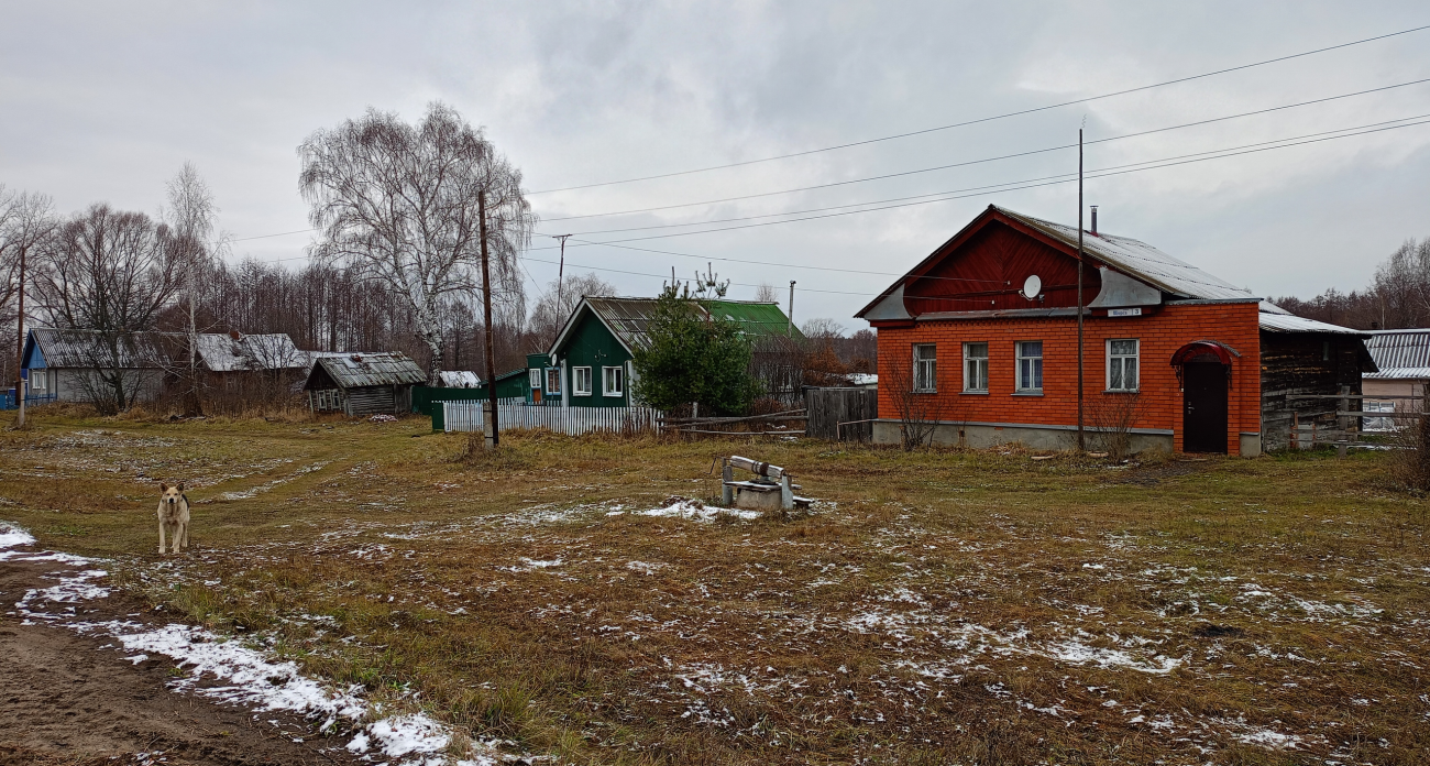 В Нижегородской области из деревни, где живут люди, сделали свалку 
