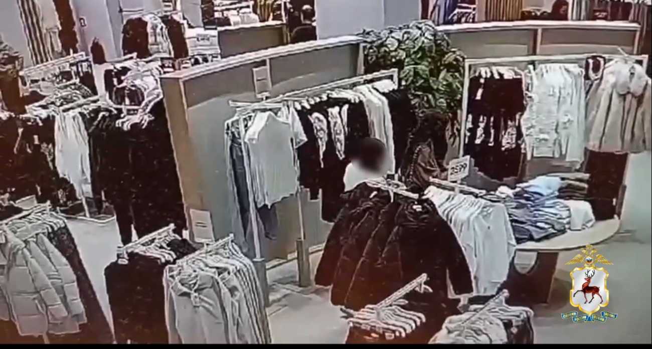 Воровку, промышлявшую в торговых центрах Нижнего Новгорода и Кстова, задержали с добычей