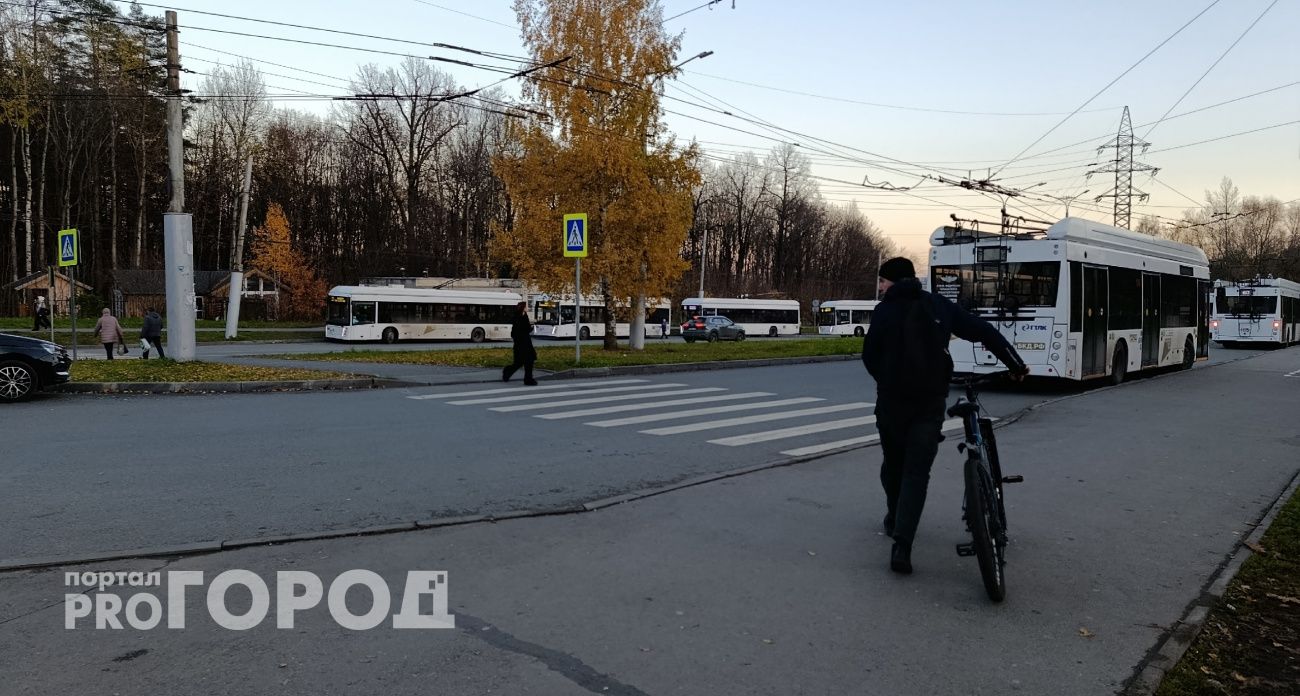 «Зебра» больше не спасет: Верховный суд объяснил, как теперь водитель должен уступить пешеходу - запомните раз и на всю жизнь