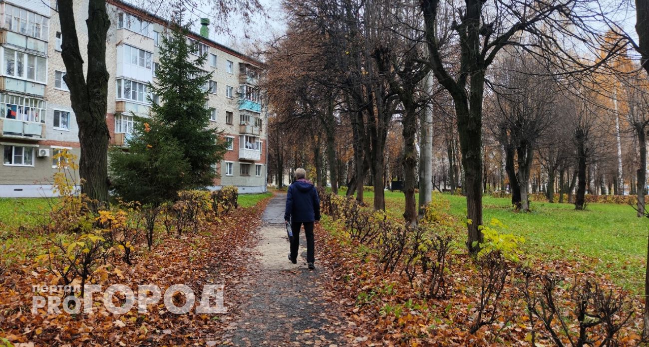 Пенсионер из Анкудиновки решил инвестировать в крипту и потерял 5 миллионов