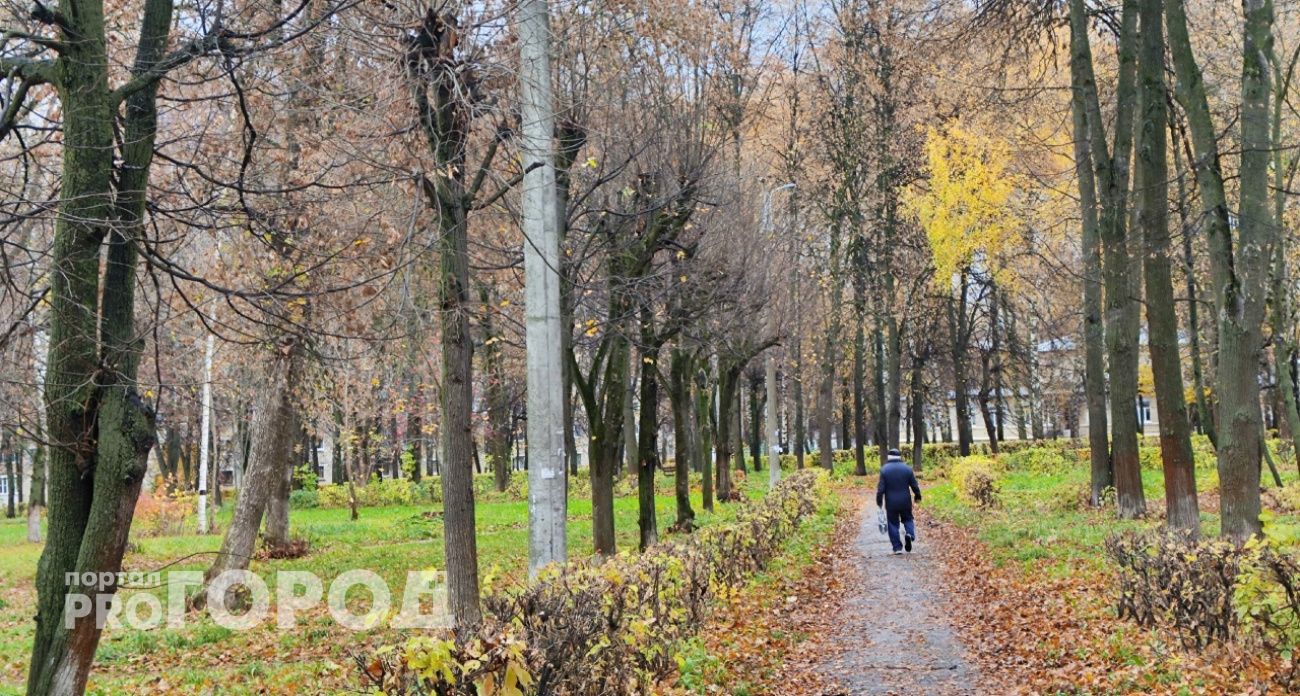 Три недели потребовалось незнакомцам, чтобы запугать пенсионера из Уреня и заставить отдать полмиллиона
