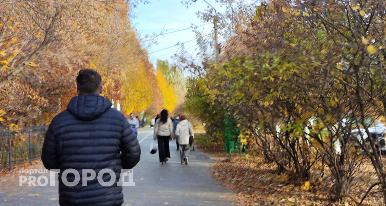 Решив стать инвестором, нижегородец за полгода лишился почти 5 миллионов рублей 