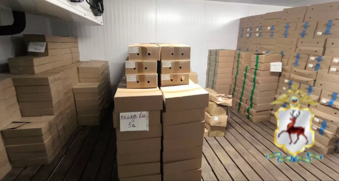 Нелегальная рыба на 3,5 млн рублей и пожар из-за телевизора: главные новости за 13 ноября в Нижнем Новгороде