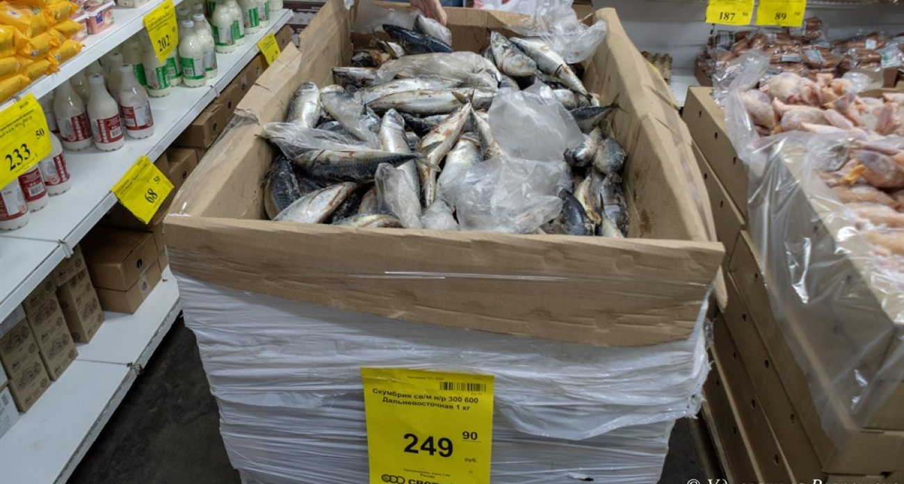 Купил скумбрию в «Светофоре» за 249 рублей — домой принёс и пожалел: рассказываю честно, что получилось