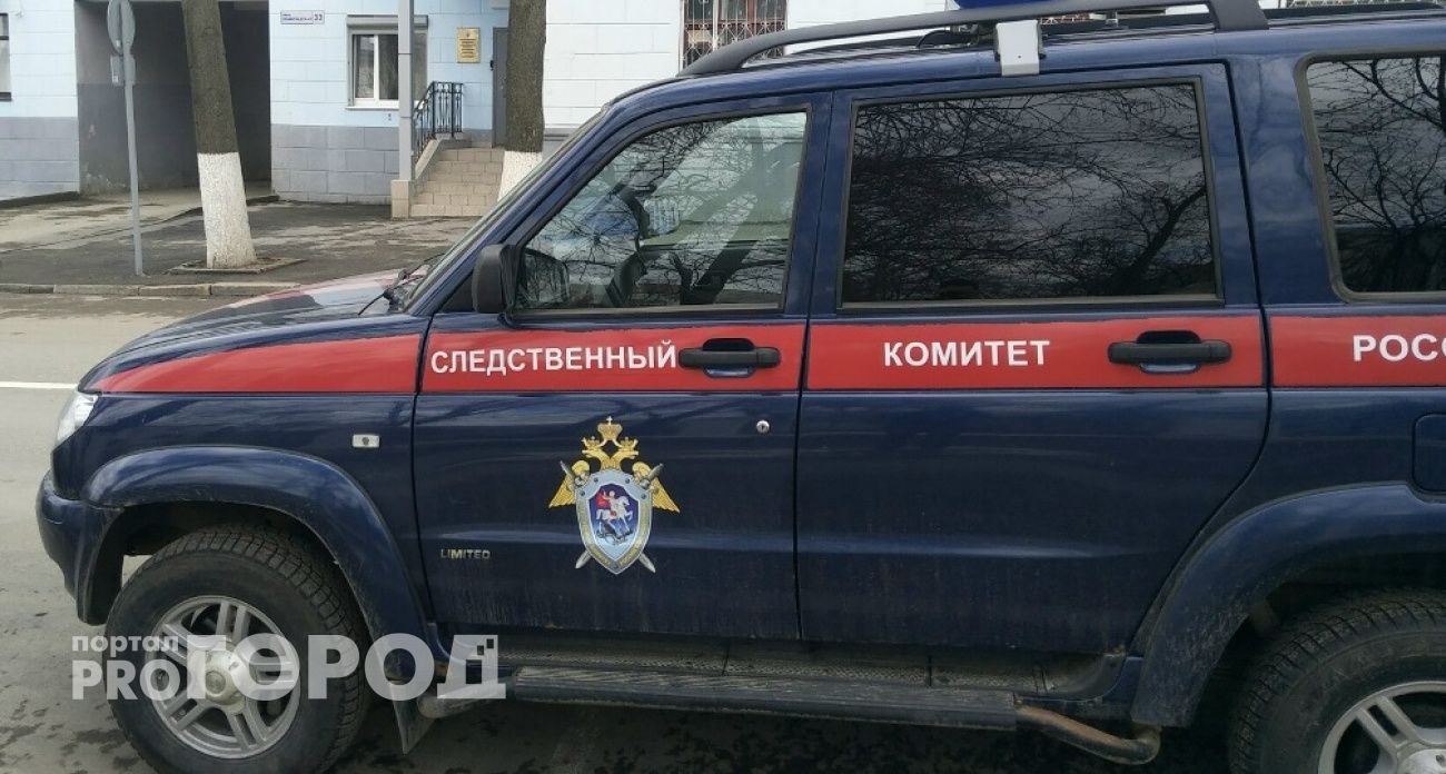 Свалкой на Московском шоссе в Нижнем Новгороде заинтересовался Бастрыкин