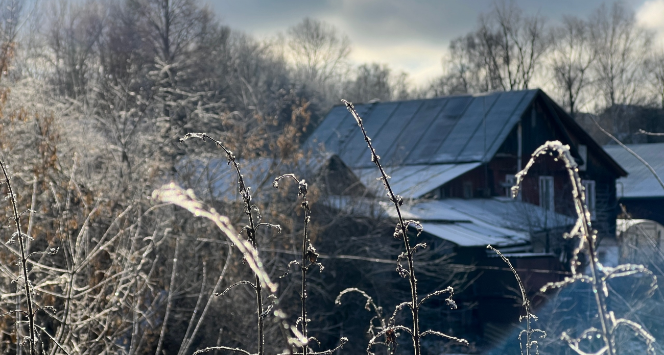 Не делайте этих ошибок в ноябре - дача весной не простит даже опытных хозяек