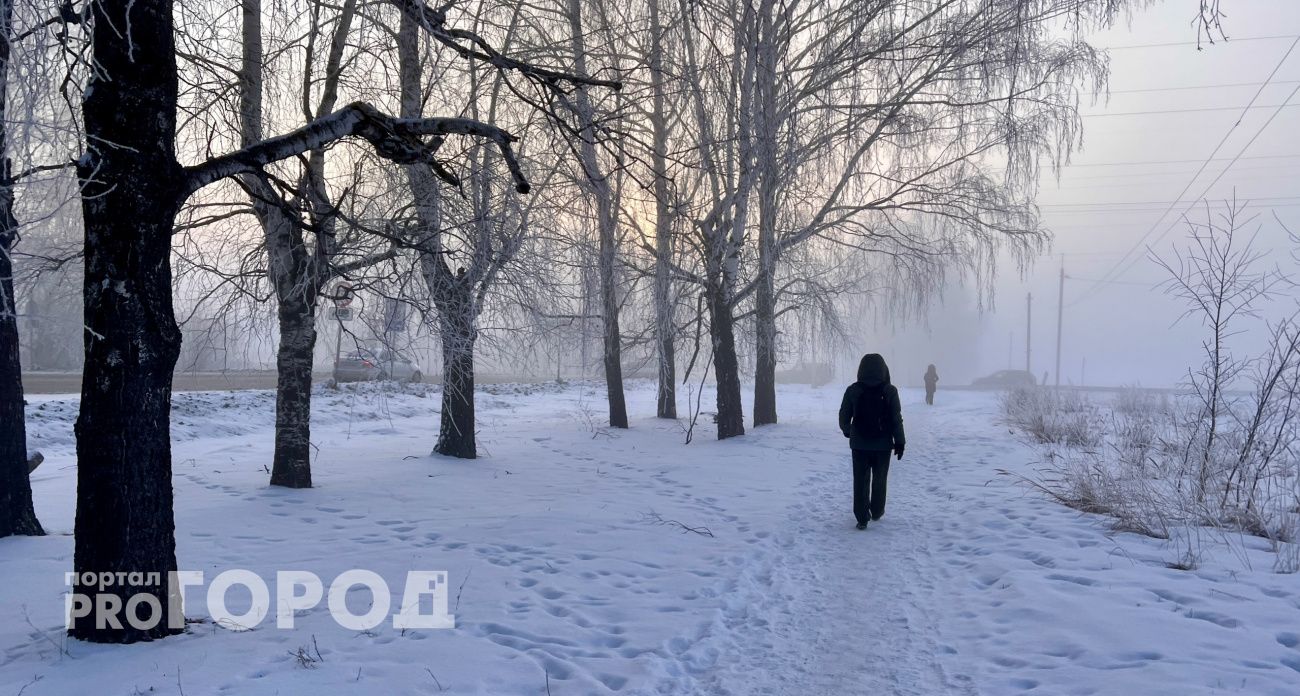 Эта зима обманет ожидания: Вильфанд рассказал, какой будет нынешняя зима