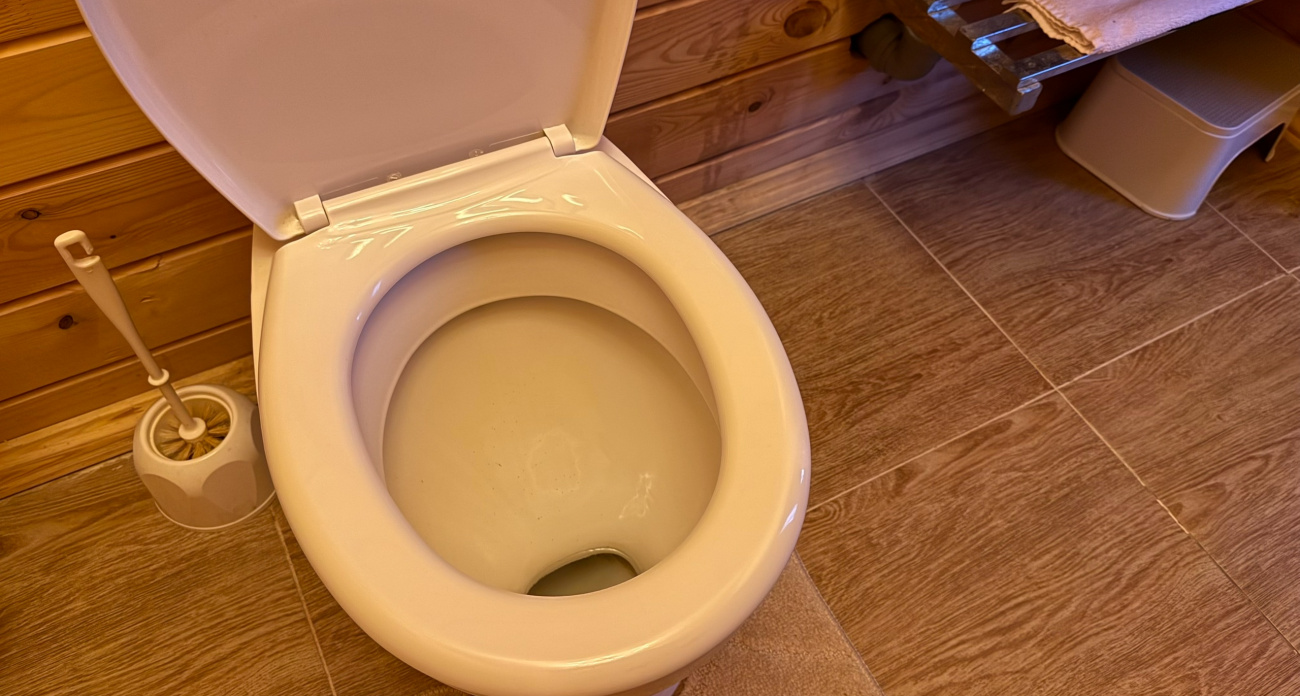 Японцы садятся к унитазу лицом вперед - вот почему: причина удивляет, но логика есть