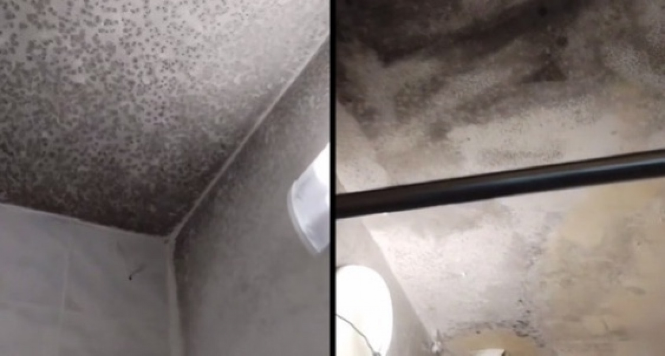 "Звездное небо" из плесени убрали в общежитии нижегородского вуза