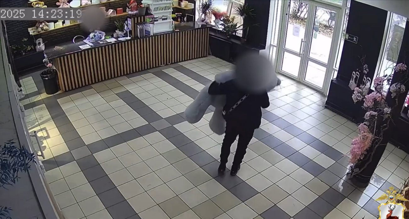 Романтичный нижегородец стал грабителем из-за плюшевой игрушки