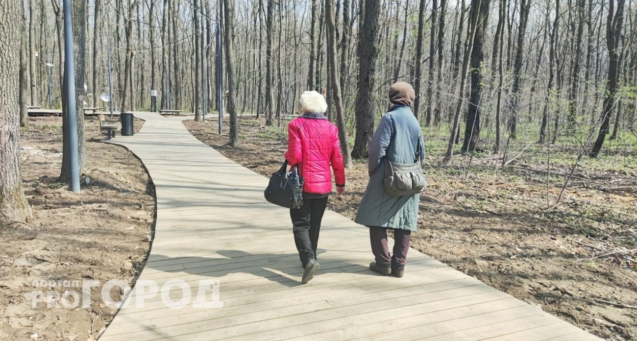 Незнакомец обвинил пенсионерку из Павлова в госизмене и забрал полмиллиона рублей