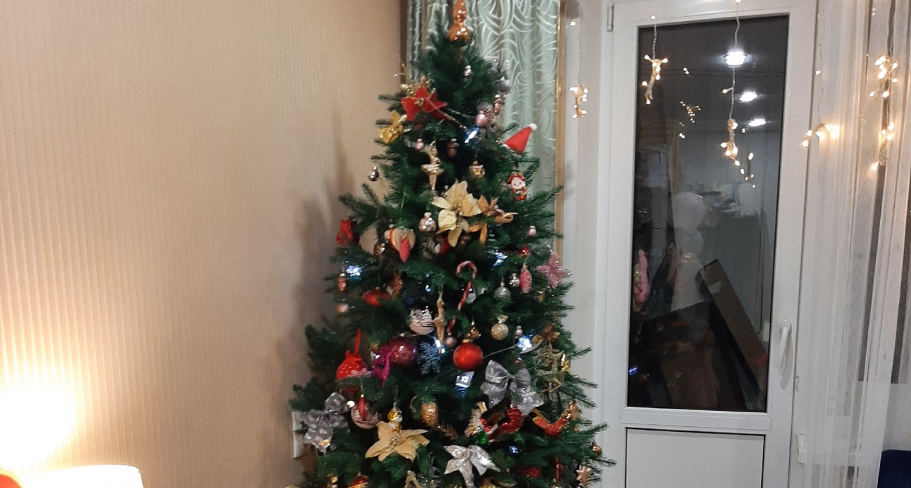 Когда ставить елку на Новый год 2026: 12 "магических" дат, которые притянут удачу в дом