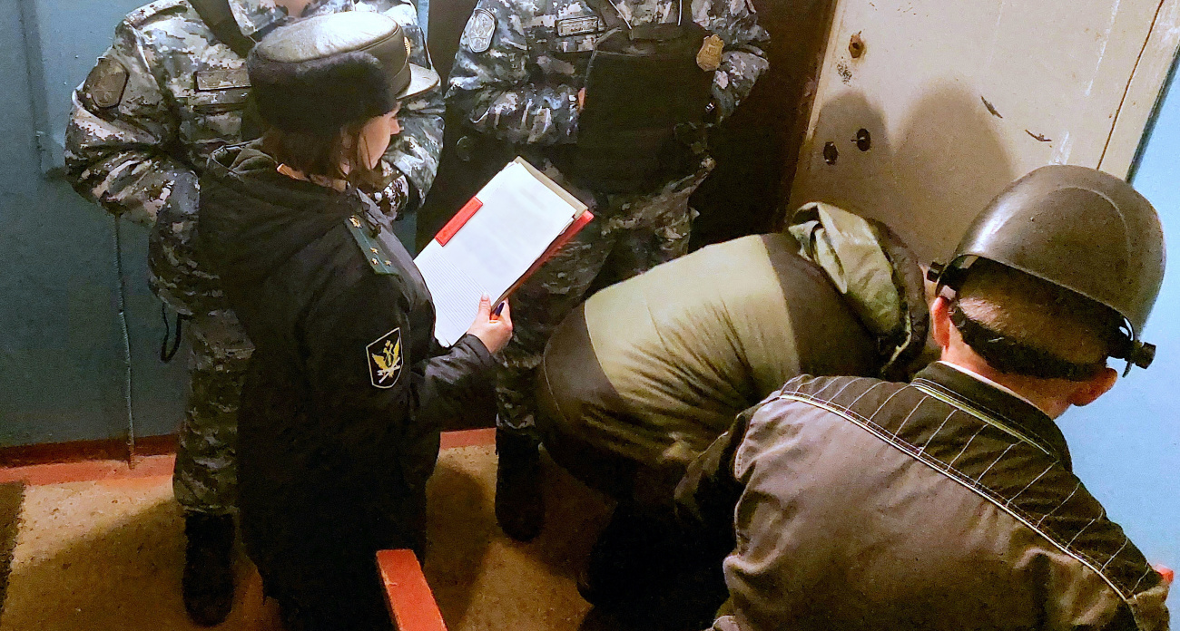 В Нижнем Новгороде женщину выселили из квартиры за долги и антисанитарию из‑за кошек