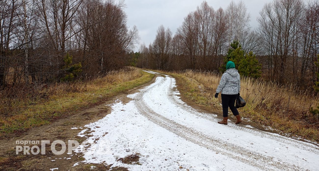 Многодетные семьи из Нижегородской области обратились к Бастрыкину, устав ждать годами дорогу к своей земле